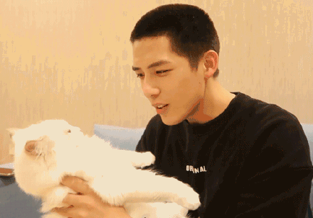 娱乐圈吃瓜爆料宋祖儿,揭秘明星背后的故事