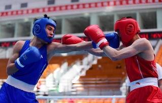 吃瓜娱乐拳击比赛视频